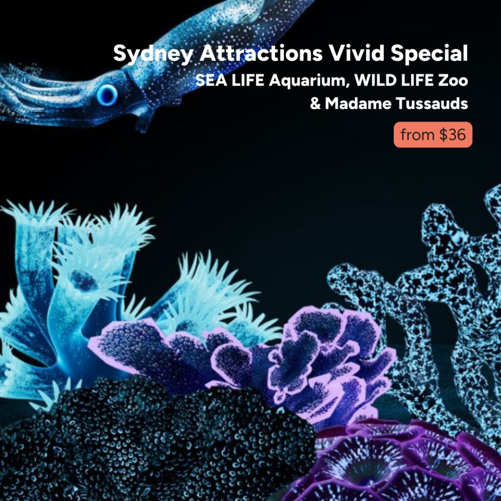 VIVID Sydney with Experience Oz and Destination NSW