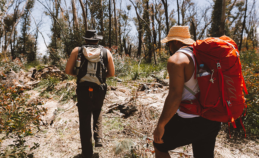 Bushwalking & Hiking Tours in Australia