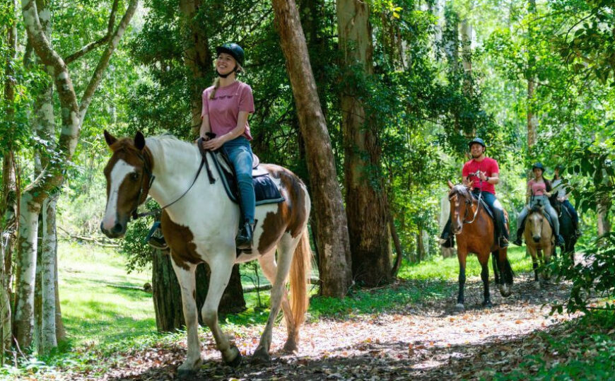 Horse Riding Adventure